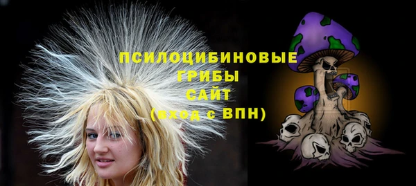 дурь Липки